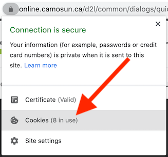 screenshot of security popup, with arrow pointing to Cookies menu item